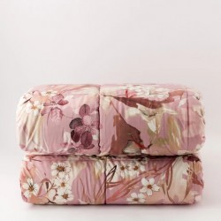 Trapunta Invernale...