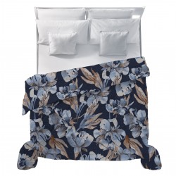 Trapunta Invernale...