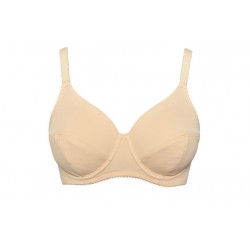 Reggiseno Con Ferretto In...